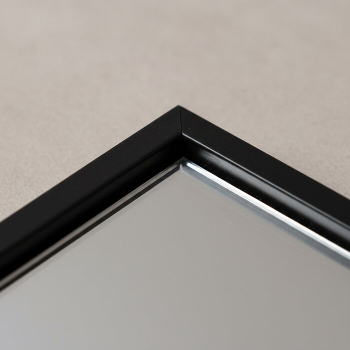 DMC  Grote Stalen Passpiegel Olaf Blokprofiel 100x190 cm