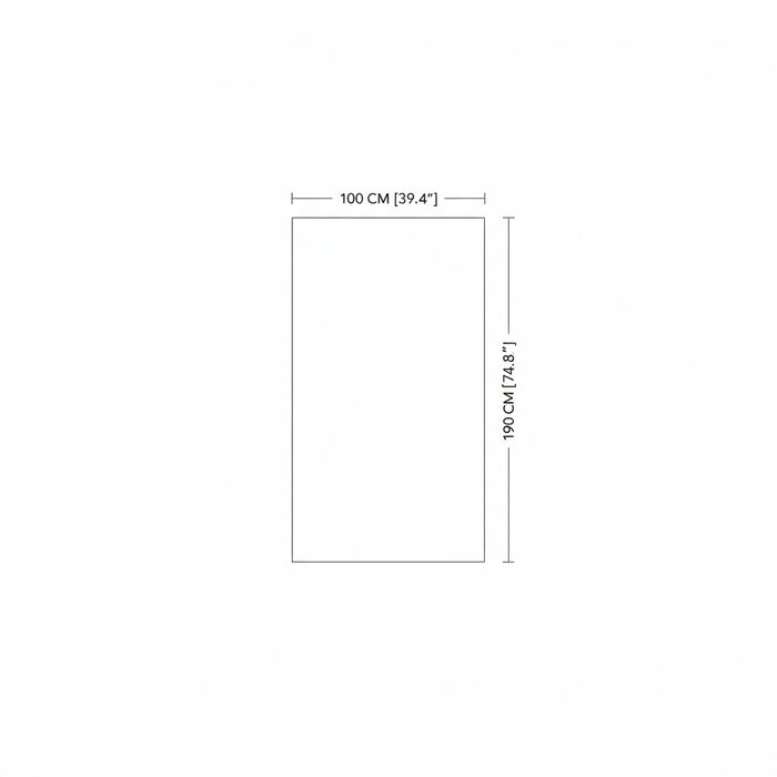 DMC  Grote Stalen Passpiegel Olaf Blokprofiel 100x190 cm