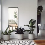 DMC  Stalen spiegel Ovalis Zwart 50x150 cm