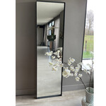 DMC  Grote Passpiegel Mara Zwart 55x195