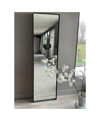 DMC  Grote Passpiegel Mara Zwart 55x195 cm