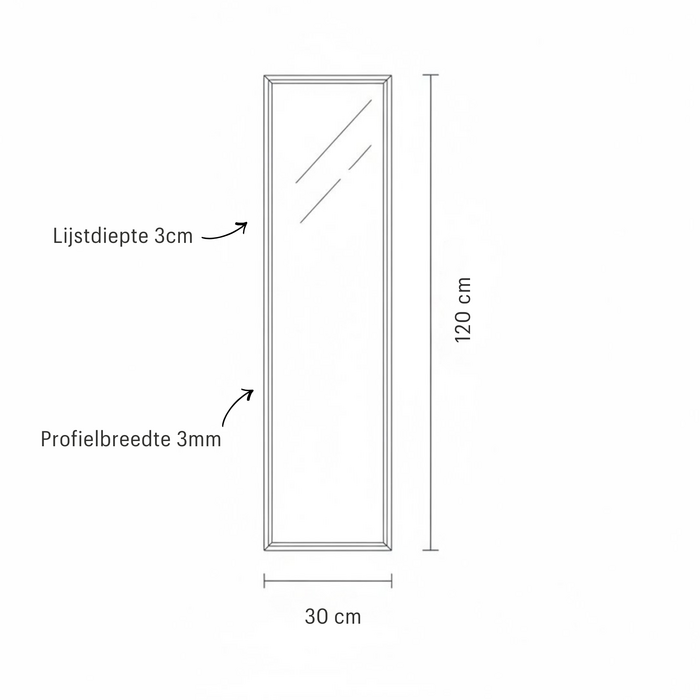 DMC  Stalen Passpiegel James Grijs 30x120 cm