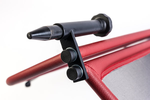 Lexus Windscherm Lexus SC 430 rood Lexus Windscherm Lexus SC 430 rood