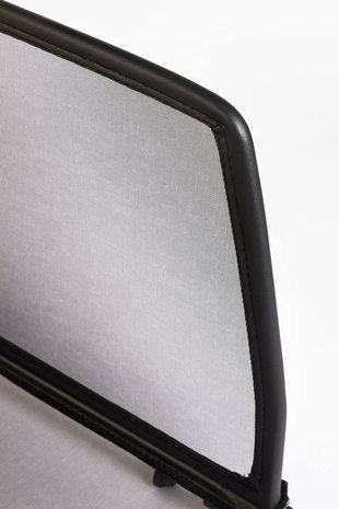 Renault Windscherm Renault Megane 1