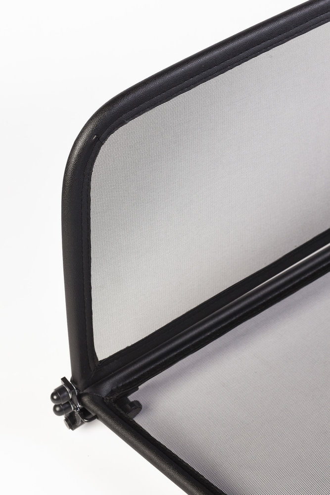 Ford Windscherm Ford Mustang 5