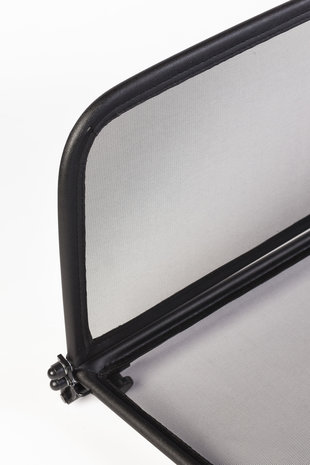 Ford Windscherm Ford Mustang 5