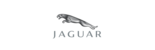 Jaguar Jaguar