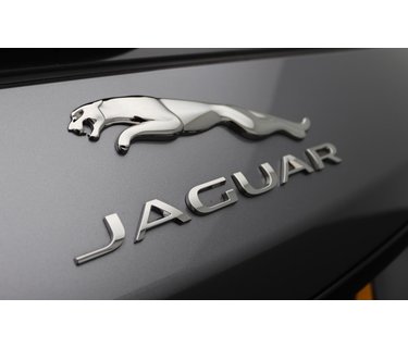 Windschermen Jaguar