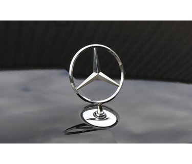 Mercedes windschermen