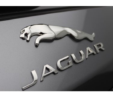 Jaguar cabrio windschermen