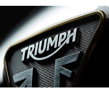 Triumph cabrio windschermen