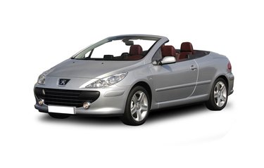Windscherm Peugeot 307