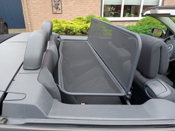 Renault Windscherm Renault Megane 2 beige Renault Windscherm Renault Megane 2 beige