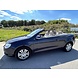 Volkswagen Windscherm VW EOS beige Volkswagen Windscherm VW EOS beige