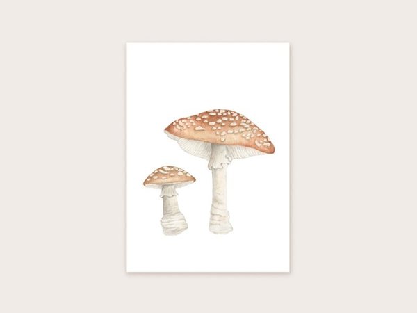 Appeloogje Paddenstoelen Appeloogje Paddenstoelen