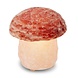 Zoutlamp Paddenstoel Zoutlamp Paddenstoel