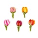 Sjaal met Verhaal Broche Tulp Sjaal met Verhaal Broche Tulp