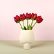 Sjaal met Verhaal Tulp Pien Sjaal met Verhaal Tulp Pien
