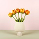 Sjaal met Verhaal Tulp Olivia Sjaal met Verhaal Tulp Olivia