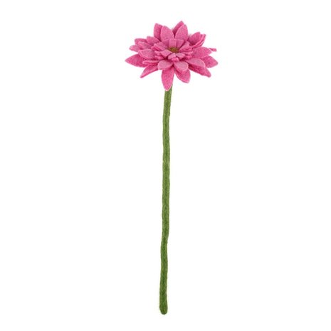 Sjaal met Verhaal Gerbera Fuchsia Sjaal met Verhaal Gerbera Fuchsia