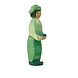 Ostheimer Koning groen oriental Ostheimer Koning groen oriental