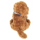 Hermann Teddy Knuffel Goldendoodle Hermann Teddy Knuffel Goldendoodle