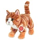 Hermann Teddy Knuffel Rode Kat Hermann Teddy Knuffel Rode Kat