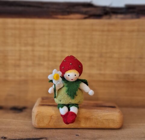 Ambrosius Aardbeienbaby Ambrosius Aardbeienbaby