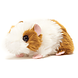 Hermann Teddy Knuffel Cavia goud/wit Hermann Teddy Knuffel Cavia goud/wit