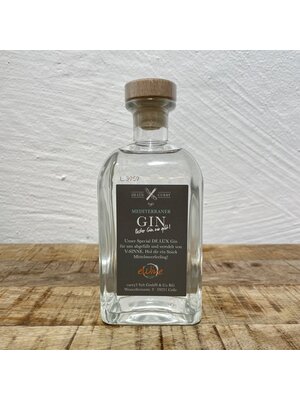 V-Sinne Schwarzwald Dry Gin 45 % - Copy - Copy