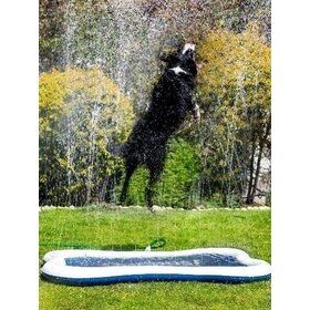 Quapas Quapas Dog Splash