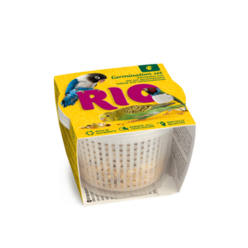 RIO RIO Kit per la germinazione, 25 g