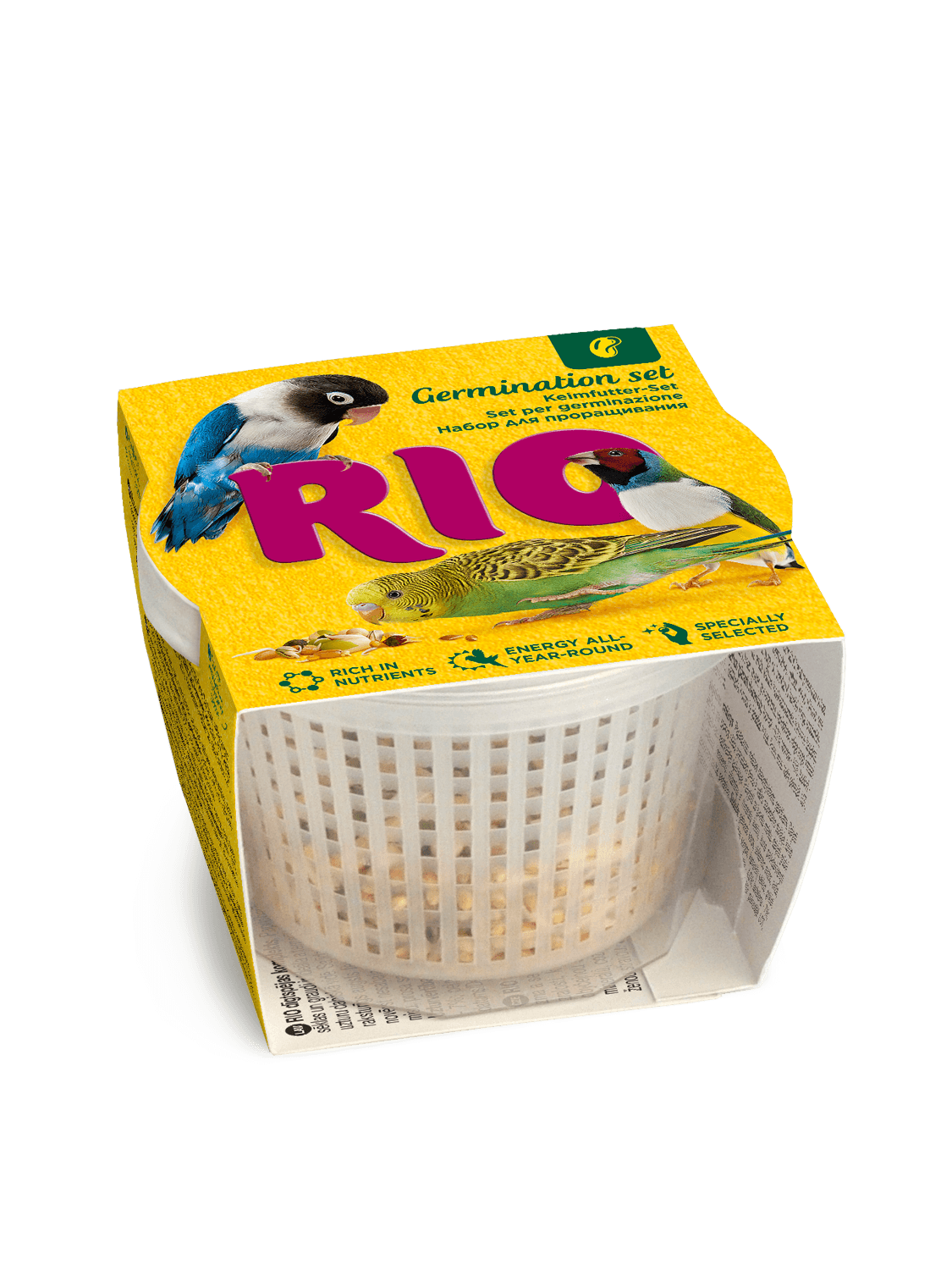 RIO Kit per la germinazione, 25 g