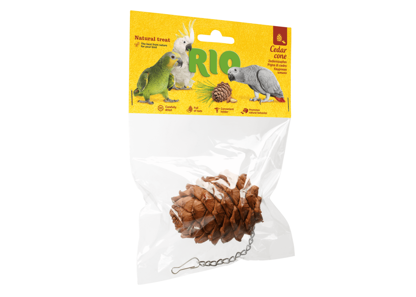 RIO RIO Cederconus, 1 pezzo