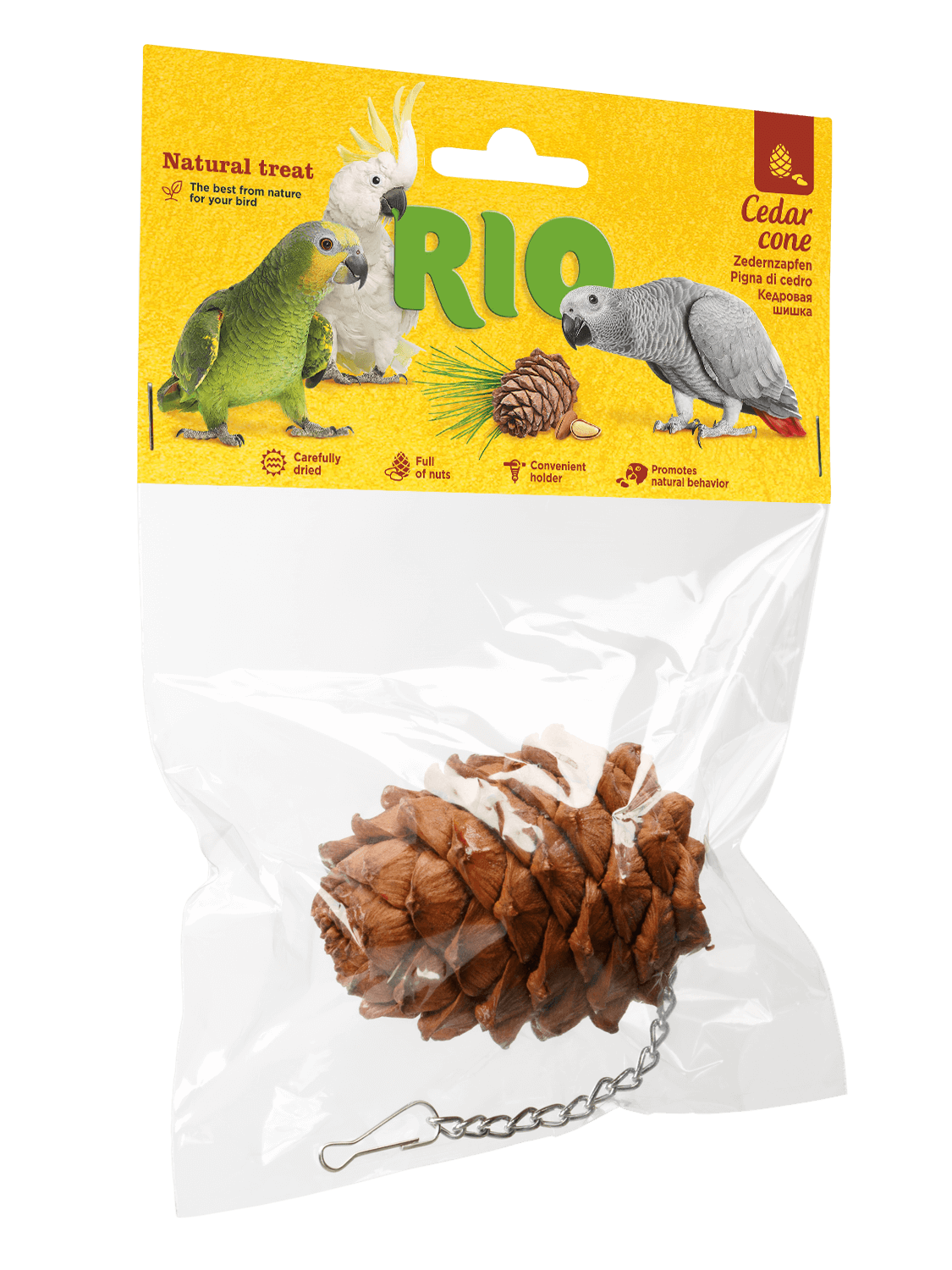 RIO RIO Cederconus, 1 pezzo