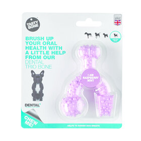 Tasty Bone Dental Bone Trio Bone Bone Giocattolo alla menta e lampone