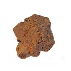 My Pet World Radice di olivo da masticare 300-500gr