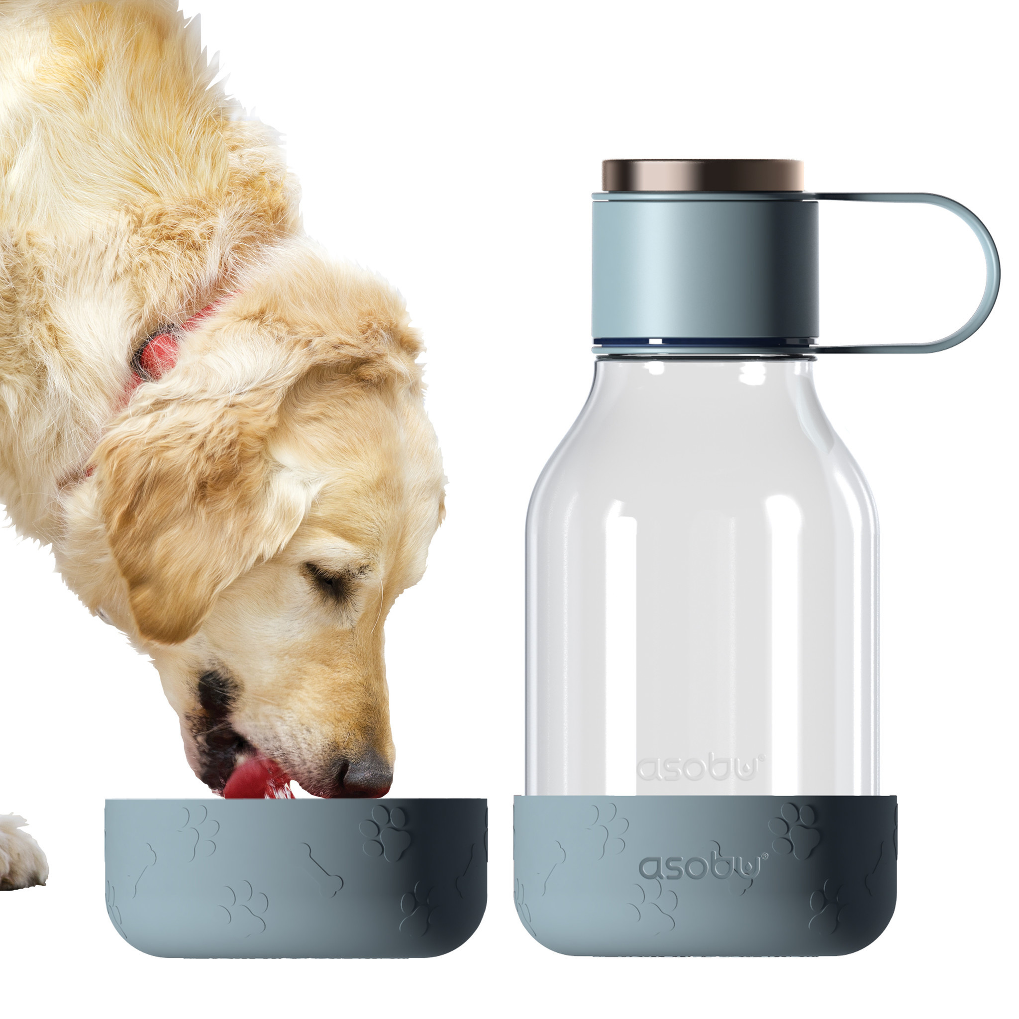 Asobu Dog Bowl Bottle Tritan