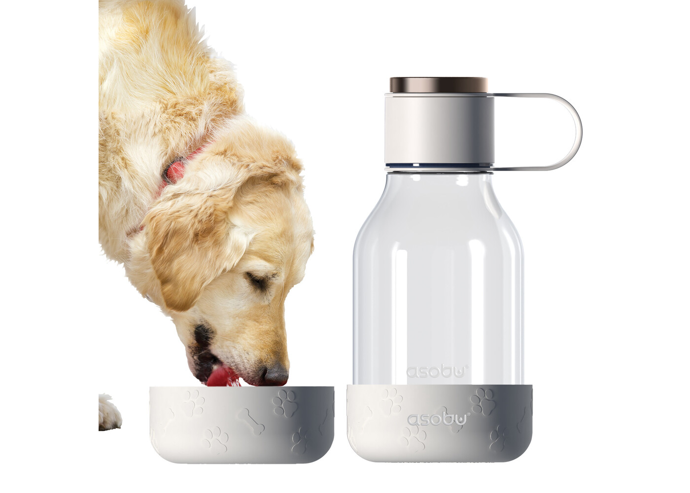 Asobu Dog Bowl Bottle Tritan
