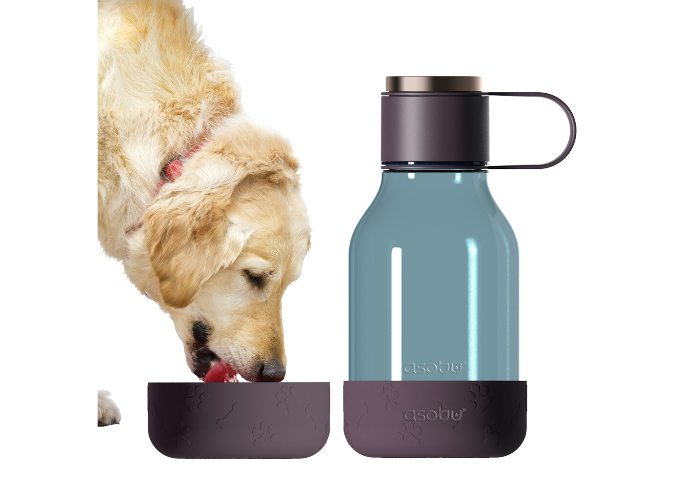 Asobu Dog Bowl Bottle Tritan