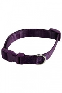 Papillon Pet Products Collare regolabile in nylon colore viola