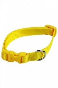 Papillon Pet Products Collare regolabile in nylon di colore giallo