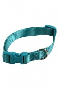 Papillon Pet Products Collare regolabile in nylon colore turchese