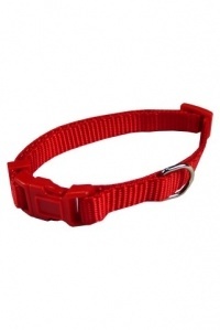 Papillon Pet Products Collare regolabile in nylon colore rosso