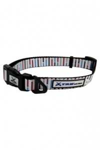 Papillon Pet Products Collare regolabile in nylon X-TRM Sublime colore bianco