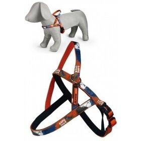 Papillon Pet Products Nylon Brustgeschirr X-TRM Rock-N-Roll Farbe orange