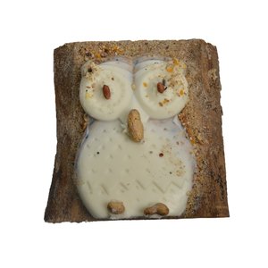 Tweetfeed Bird pie on shelf Owl 1st