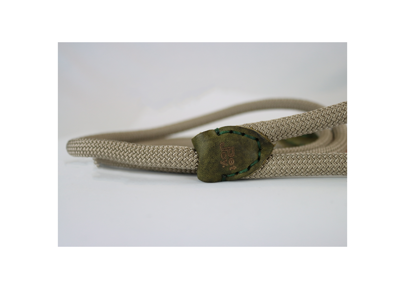 Pet-Joy Pet-Joy The DoggyWalker Rope Leash Tan Green