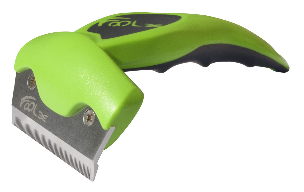 Foole Evolution l Shiny (Foole Evolution M Lucy Green)