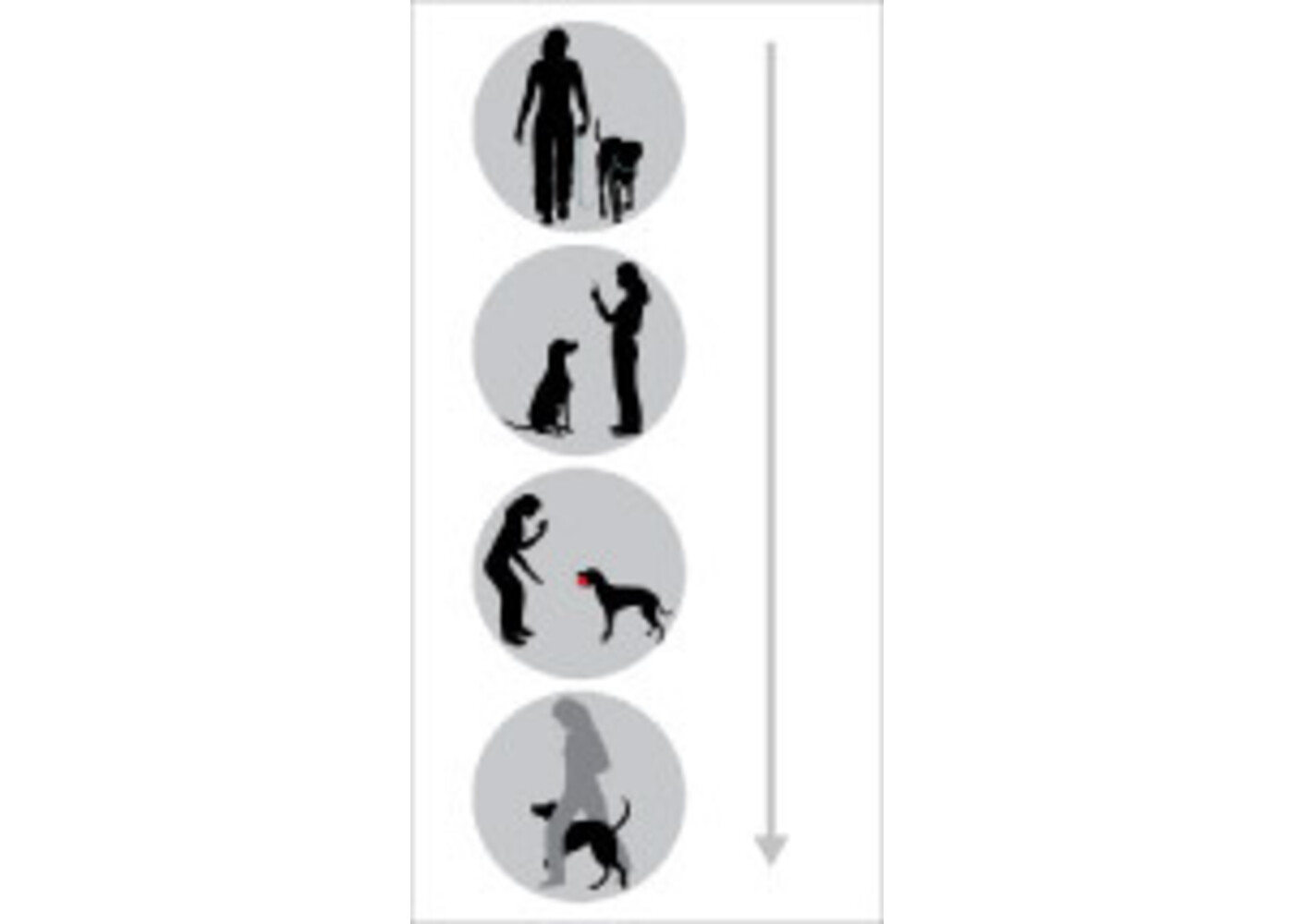 Patento Pet IMBAY IMBAY INTERIVARE LONGE LONGE ROOD (IMBAY IMBAY INTERIVA IL GUARDA LUNGO XXL)